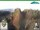 Webcam in Oberweißbach, 10.8 km entfernt