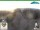 Webcam in Oberweißbach, 1.2 mi away