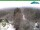 Webcam in Oberweißbach, 9.6 km