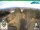 Webcam in Oberweißbach, 16.9 km