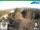 Webcam in Oberweißbach, 7.4 km entfernt