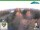 Webcam in Oberweißbach, 12.2 km