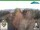 Webcam in Oberweißbach, 1.2 mi away
