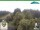 Webcam in Oberweißbach, 9.6 km