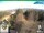 Webcam in Oberweißbach, 1.2 mi away