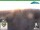 Webcam in Oberweißbach, 12.6 km