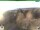 Webcam in Oberweißbach, 5.7 mi away