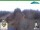 Webcam in Oberweißbach, 13.9 km