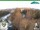 Webcam in Oberweißbach, 1.2 mi away