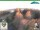 Webcam in Oberweißbach, 10.8 km entfernt