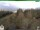 Webcam in Oberweißbach, 1.2 mi away