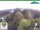 Webcam in Oberweißbach, 1.2 mi away