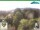 Webcam in Oberweißbach, 1.2 mi away