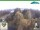 Webcam in Oberweißbach, 1.2 mi away