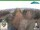 Webcam in Oberweißbach, 16.9 km