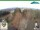 Webcam in Oberweißbach, 10 km