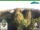 Webcam in Oberweißbach, 1.2 mi away