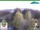 Webcam in Oberweißbach, 10.8 km entfernt