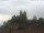 Webcam in Breisach am Rhein, 6.2 mi away