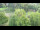 Webcam in Bad Pyrmont, 22.2 km