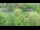Webcam in Bad Pyrmont, 22.2 km entfernt