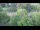 Webcam in Bad Pyrmont, 25 km