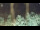 Webcam in Bad Pyrmont, 25 km entfernt