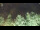 Webcam in Bad Pyrmont, 9.6 mi away
