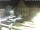 Webcam in Bückeburg, 11.6 mi away