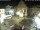 Webcam in Bückeburg, 11.6 mi away