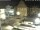 Webcam in Bückeburg, 3.2 mi away