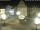 Webcam in Bückeburg, 16.8 mi away