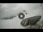 Webcam in Bormio, 2.3 km