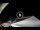 Webcam in Lavarone, 6.3 mi away