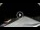 Webcam in Lavarone, 13 km entfernt