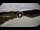 Webcam in Lavarone, 9.3 km