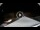 Webcam in Lavarone, 9.3 km entfernt