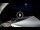 Webcam in Lavarone, 3.6 mi away