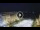 Webcam in Thessaloniki, 0.4 mi away