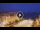 Webcam in Thessaloniki, 71.6 mi away