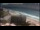 Webcam in Cancún, 6.6 mi away