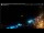 Webcam in Cancún, 95 km