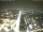 Webcam in Mexico City, 254 mi away