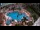 Webcam in Ixtapa, 801.3 km entfernt