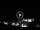 Webcam in Watamu, 423.8 km