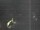 Webcam in Hessisch Oldendorf, 15.5 mi away