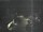 Webcam in Hessisch Oldendorf, 8.8 mi away