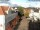 Webcam in Hessisch Oldendorf, 9.9 mi away