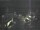 Webcam in Hessisch Oldendorf, 9.9 mi away