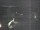 Webcam in Hessisch Oldendorf, 10.8 mi away